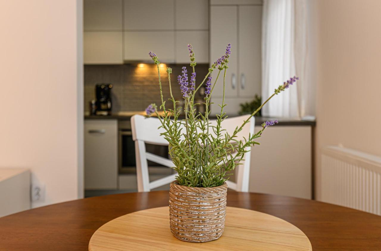 Stars Apartment Брашов Екстер'єр фото
